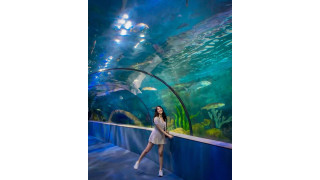 Vinpearl Aquarium Times City là thủy cung độc đáo giữa lòng Hà Nội